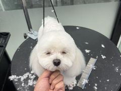 -宠物家(长阳店)
