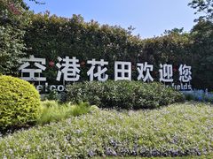 -空港花田景区