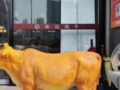 -林记潮牛·牛肉火锅(上马墩店)
