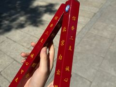 -白云观