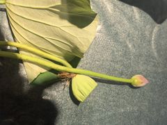 -烟水渔庄餐厅(西溪湿地店)