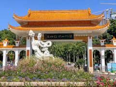 -深圳仙湖植物园