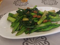 清炒迟菜心-岭南海晏楼(东晓南店)