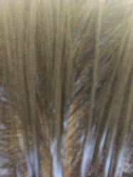 -髻尚坊增发补发织发假发定制