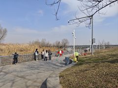 -灞河西岸滨河公园
