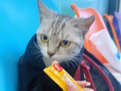 -纳吉亚猫专科动物医院博雅分院