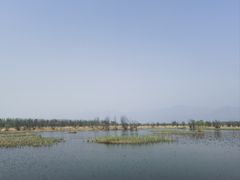 -野鸭湖国家湿地公园