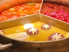 黄金奔驰锅-湊湊火锅·茶憩(皇姑万象汇店)