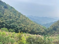 -四明山国家森林公园