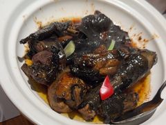 -宋小谨(惠安禹洲店)