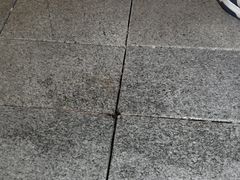 -奈雪的茶(百盛店)