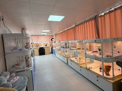 -翊宠yipet猫狗购宠庄园犬舍•猫舍