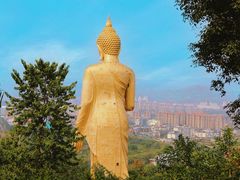 -西双版纳勐泐文化旅游区