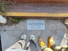 -五龙城郊森林公园