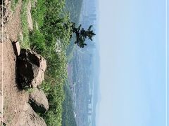 -惠山国家森林公园