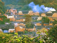 -杨家堂村