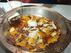 -雲蜀龙阁·金牌水煮鱼(方庄店)