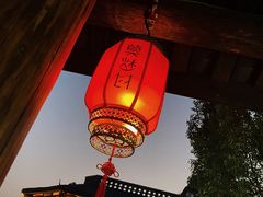 -莫愁村问君老酸奶