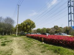 -漕湖湿地公园
