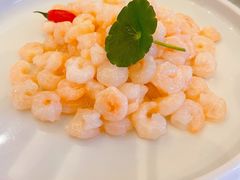 水晶河虾仁-和平饭店·龙凤厅 Dragon Phoenix