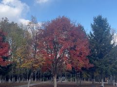 -长春世界雕塑园冰雪艺术天地