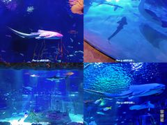 -沈阳海洋探索中心