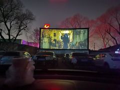 -枫花园汽车电影院(朝阳公园店)