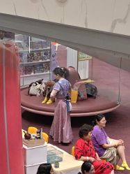 -奈尔宝·国风主题儿童乐园·亲子餐厅(豫园商城店)