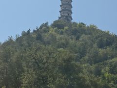 -北坞公园