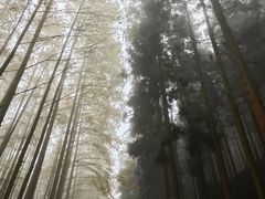 -山王坪喀斯特国家生态公园