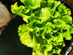 -牛市牛烤肉(西单大悦城店)