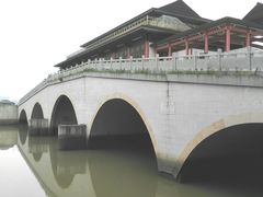 -大湾区中央湿地公园