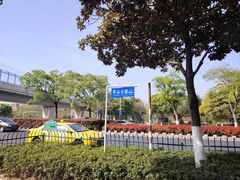 -羊山湖公园