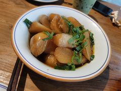 土烧大萝卜-椿不老
