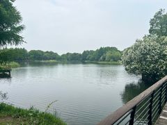 -尚贤河湿地