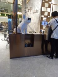 点击看大图 -OnHair Salon