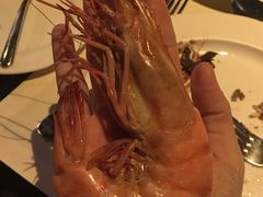 -澳门旅游塔360°旋转餐厅(南湾湖广场店)