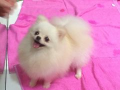 iphone_upload_pic-东浩兰生上海世博展览馆