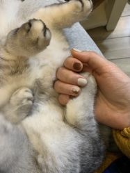 -秘阁MIGO·美甲美睫