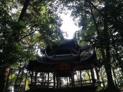 -峨眉山报国寺