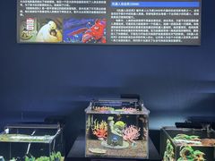 -重庆欢乐海底世界