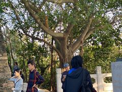 -小南山公园