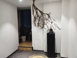 -吾之瑜生瑜伽普拉提学院