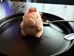 -bluefrog蓝蛙(国贸商城店)