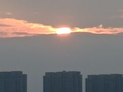 -瑶湖郊野森林公园