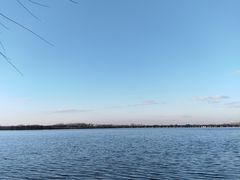 -丁香湖公园