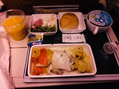 -新加坡航空公司(ION)