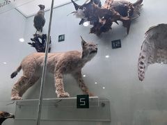 -国家自然博物馆