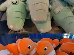 -上海海洋水族馆