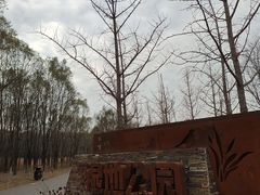 -东郊湿地公园